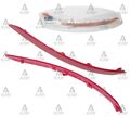 HYUNDAI ELANTRA ARKA TAMPON REFLEKTÖRÜ SAĞ 16-18 HMC
