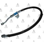 ACCENT oN FREN HORTUMU BLUE