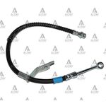 ACCENT oN FREN HORTUMU BLUE