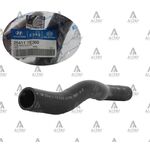 ACCENT RADYAToR HORTUMU 06= ERA uST DiZEL