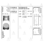 E-2200 PiSTON SEKMANLI 99= 0.50