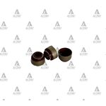 CARRY SUPAP LASTigi  ALTO (ViTON)  B-2500