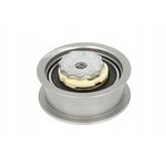 VW GOLF7 EKSANTRİK GERGİ RULMANI 13- SKF 04E109479A