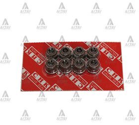 NISSAN VANETTE SUPAP LASTİĞİ T.W.