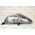HONDA JAZZ FAR 04-06 MANUEL SİYAH SOL MAHER 33151SAAH51