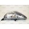 HONDA JAZZ FAR 04-06 MANUEL SİYAH SOL MAHER 33151SAAH51