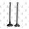 STAREX SUPAP TAKIM SORENTO 140HP 16V H-1 SORENTO 170HP uc TIRNAK (IN-8:31.8x7x110.6EX-8:28x7x110.6)