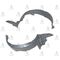 ACCENT oN cAMURLUK DAVLUMBAZI 03-06 SOL