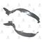 ACCENT oN cAMURLUK DAVLUMBAZI 03-06 SOL