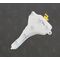 ACCORD YEDEK SU DEPOSU 03-07