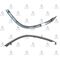 CRV oN cAMURLUK BAKALiTi 97-01 SAg