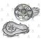 HONDA CIVIC DEVİRDAİM 01-06 K20A  TYPE-R  ACCORD 03-08 2.4  K24 GMB