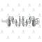 NKR-13  NKR-55 KRANK MiLi DoVME cELiK 4JB1