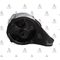 CIVIC MOTOR TAKOZU 88-91 SAg MANUEL (2Li)